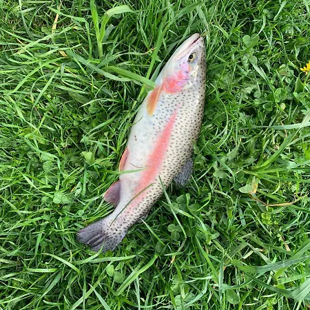 карпатський замок Hotel Rozluch