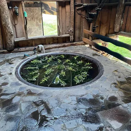 карпатський замок Hotel