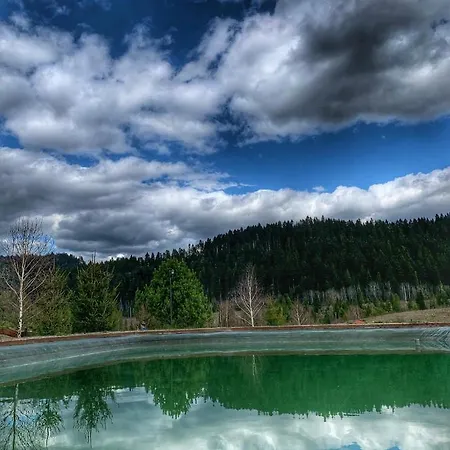 Hotel карпатський замок