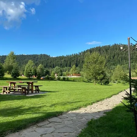 карпатський замок Hotel