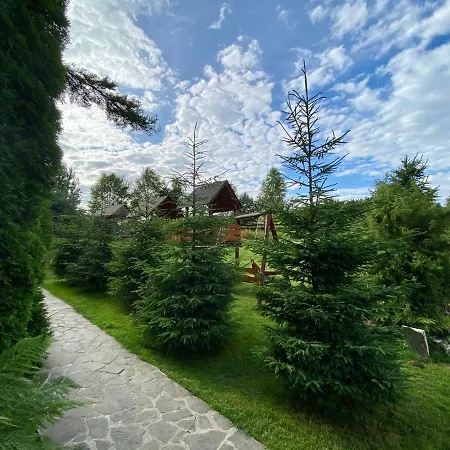 فندق карпатський замок *