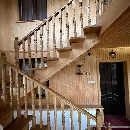 карпатський замок *