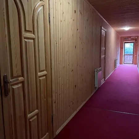 карпатський замок Hotel *