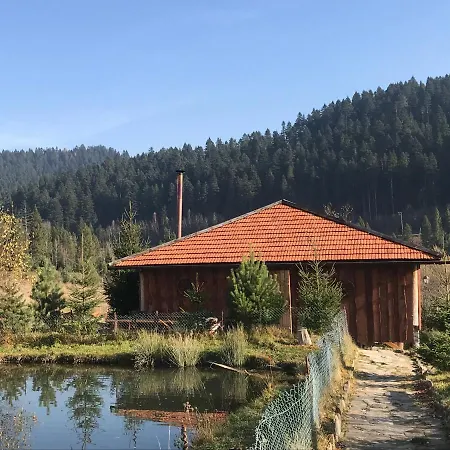 карпатський замок *