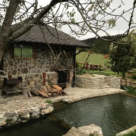 карпатський замок *