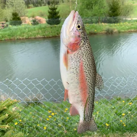 карпатський замок