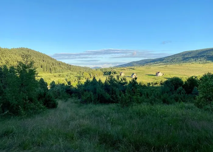 карпатський замок