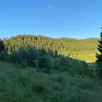карпатський замок Hotel Rozluch