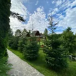 Hotel карпатський замок *