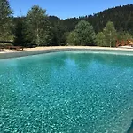 карпатський замок Hotel Rozluch