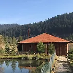 карпатський замок *