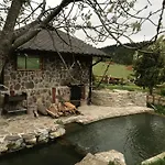 карпатський замок *