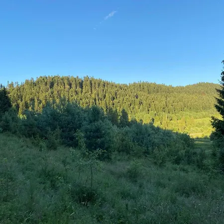 карпатський замок מלון Rozluch