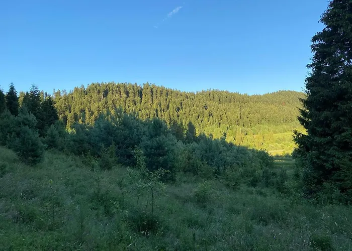 карпатський замок מלון Rozluch