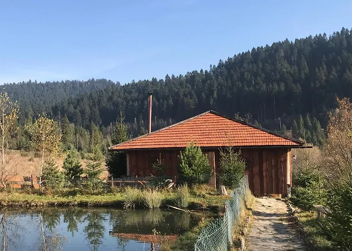 карпатський замок *